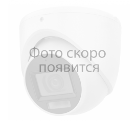 iFLOW F AC 2451(2.8 mm) камера для внутренней видеосъёмки